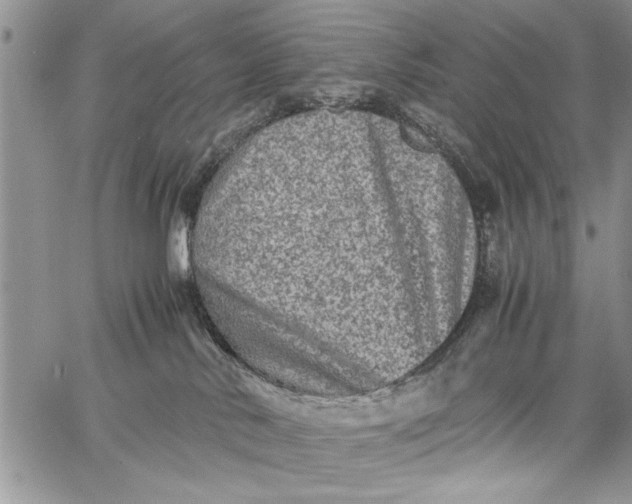 X0000062650042200601040929