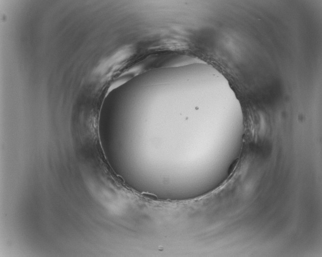 X0000062650045200601040929