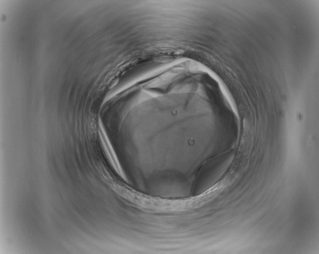 X0000062650048200601040929