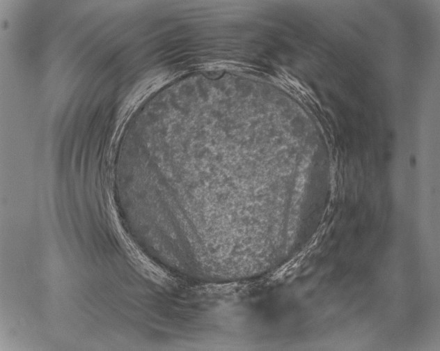 X0000062650049200601040928