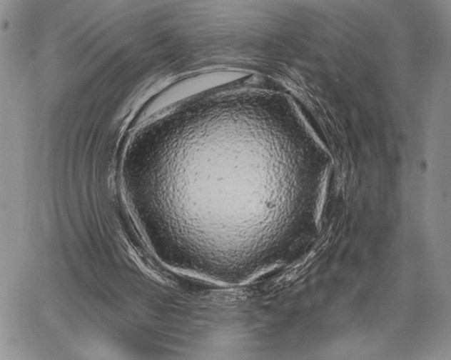 X0000062650050200601040928