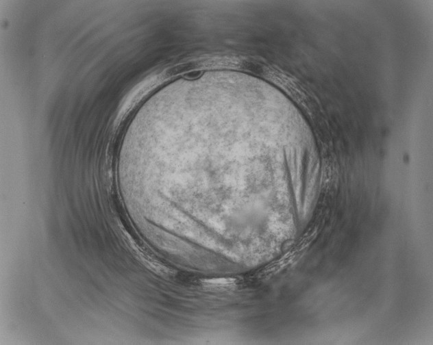 X0000062650053200601040928