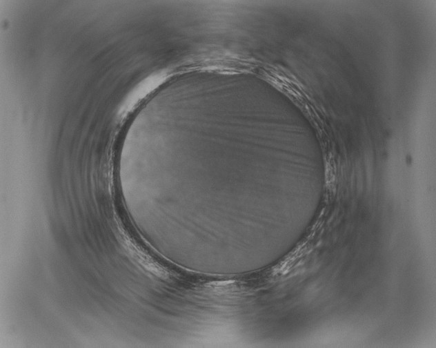 X0000062650054200601040928