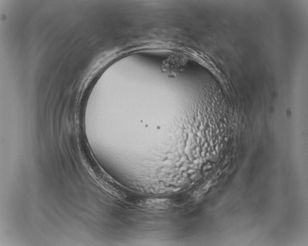 X0000062650055200601040928