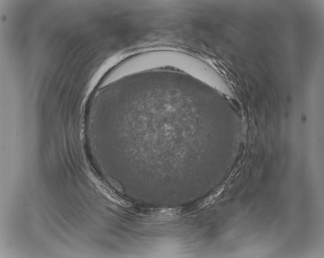 X0000062650056200601040928