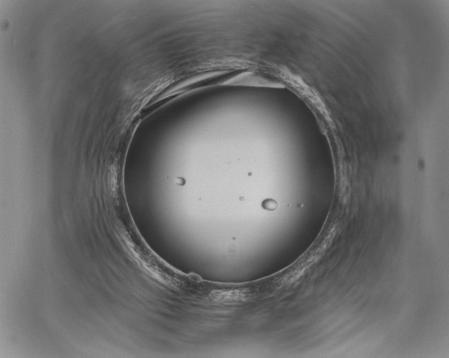 X0000062650057200601040928