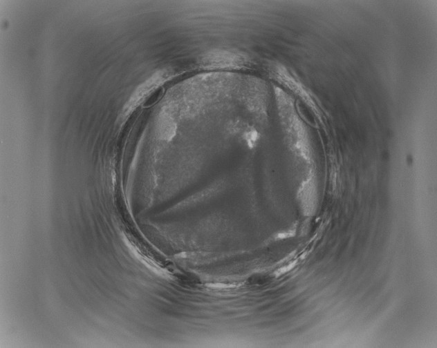 X0000062650059200601040928