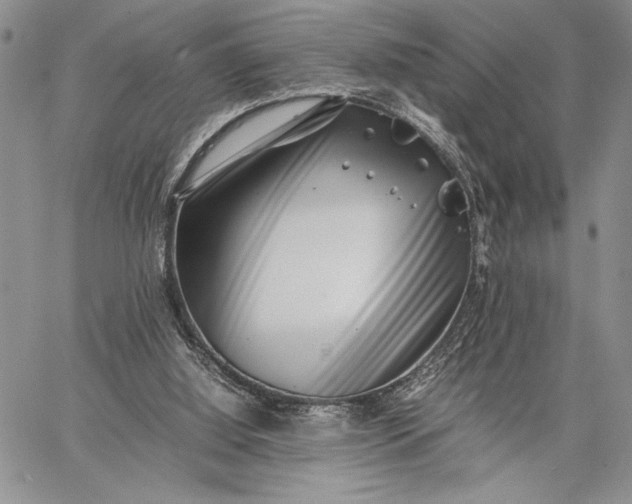 X0000062650060200601040928