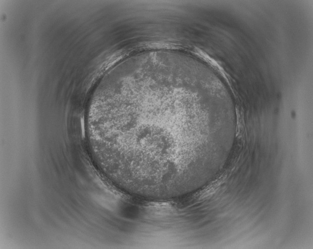 X0000062650061200601040928