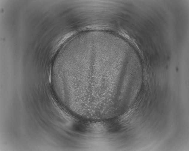 X0000062650062200601040928