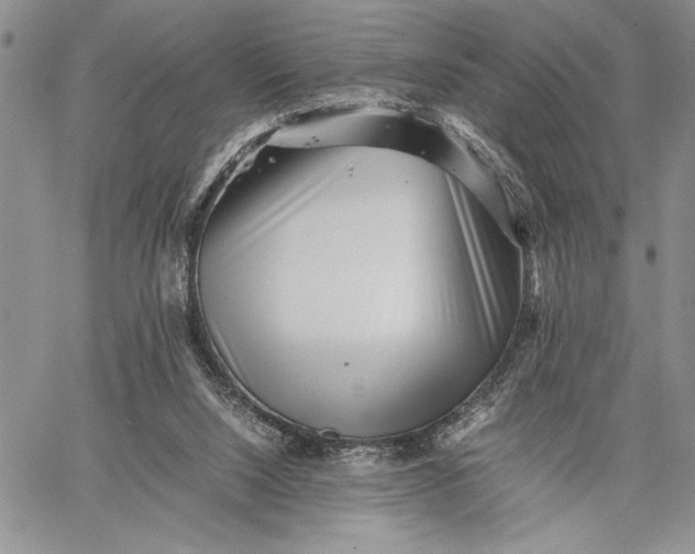 X0000062650064200601040929