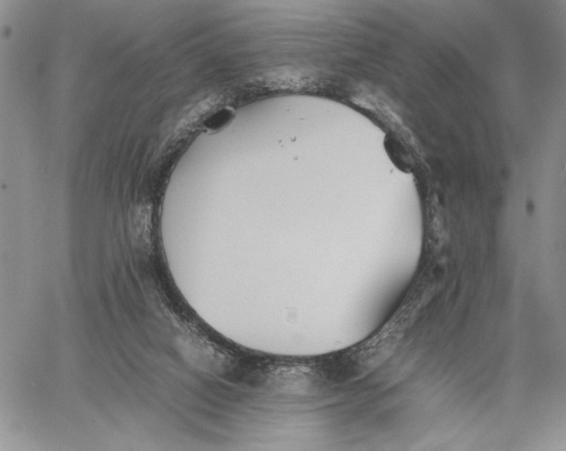 X0000062650066200601040929