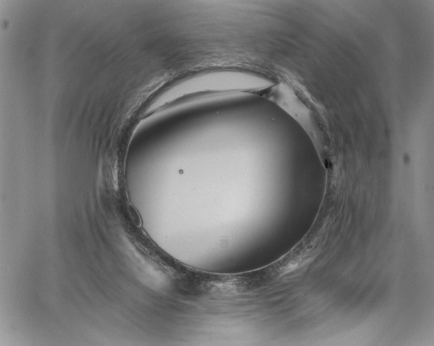 X0000062650068200601040929