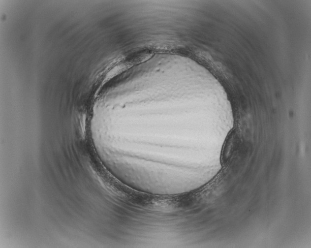 X0000062650070200601040929