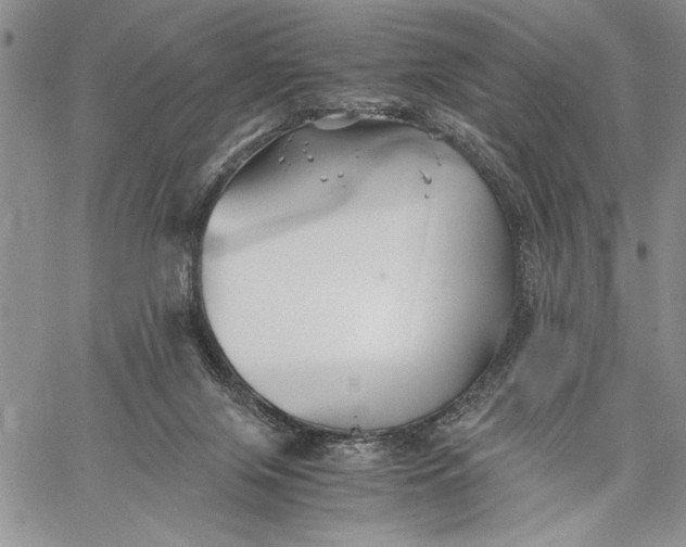 X0000062650071200601040929