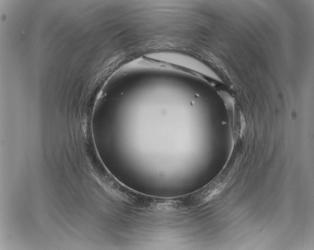 X0000062650072200601040929