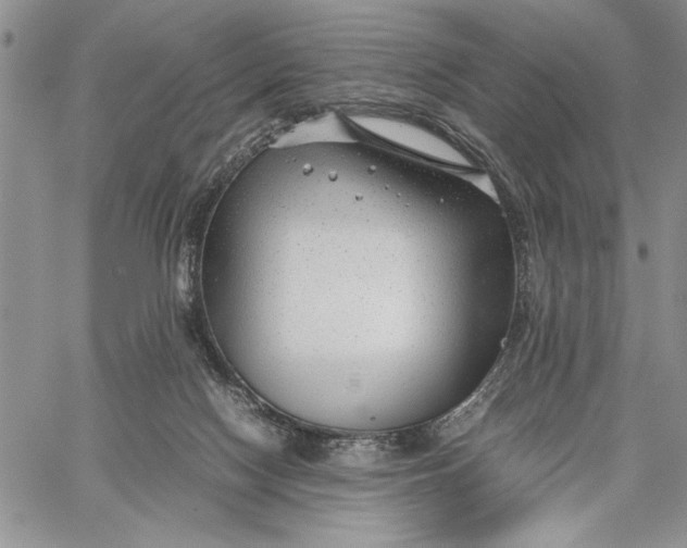 X0000062650074200601040929