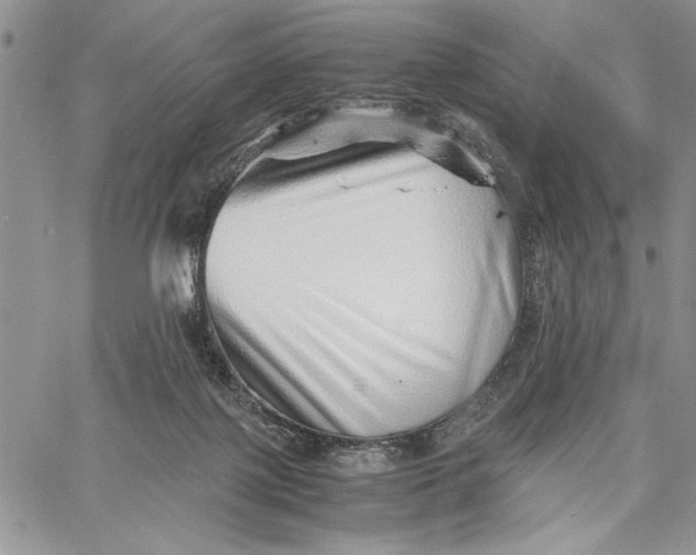 X0000062650075200601040929