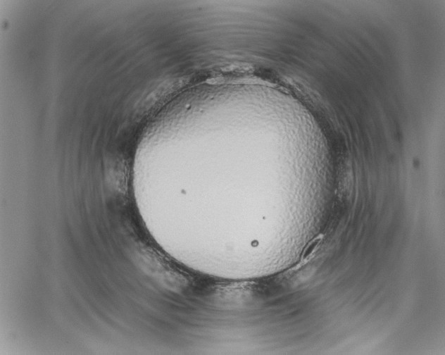 X0000062650078200601040929