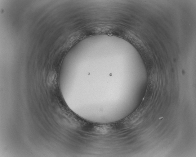 X0000062650079200601040929