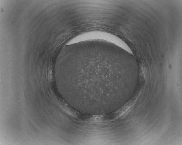 X0000062650080200601040929