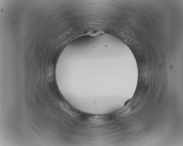 X0000062650082200601040929