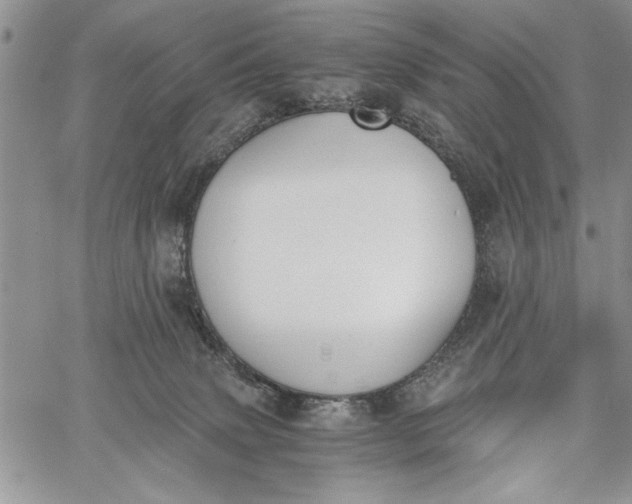 X0000062650083200601040929