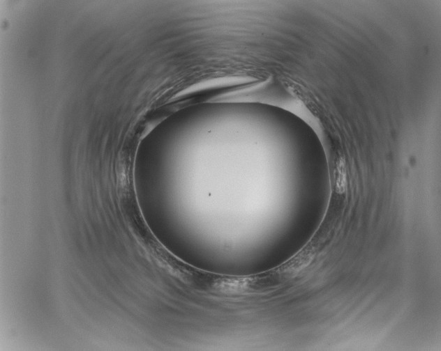 X0000062650084200601040929