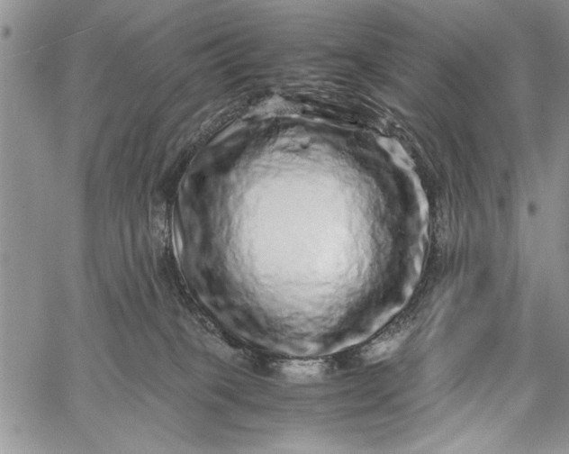 X0000062650085200601040929