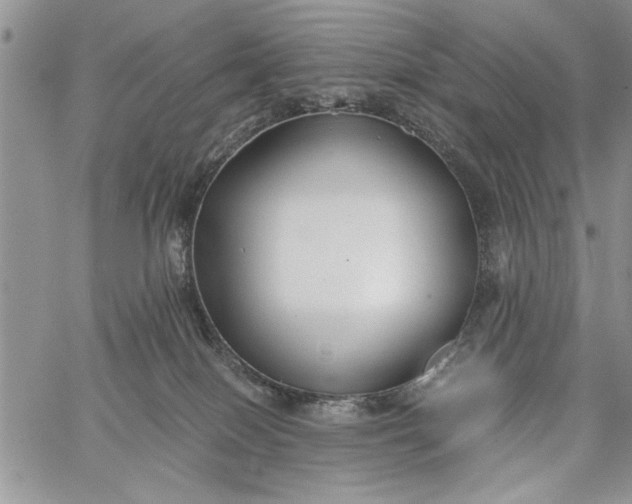 X0000062650086200601040929