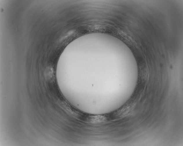 X0000062650087200601040929