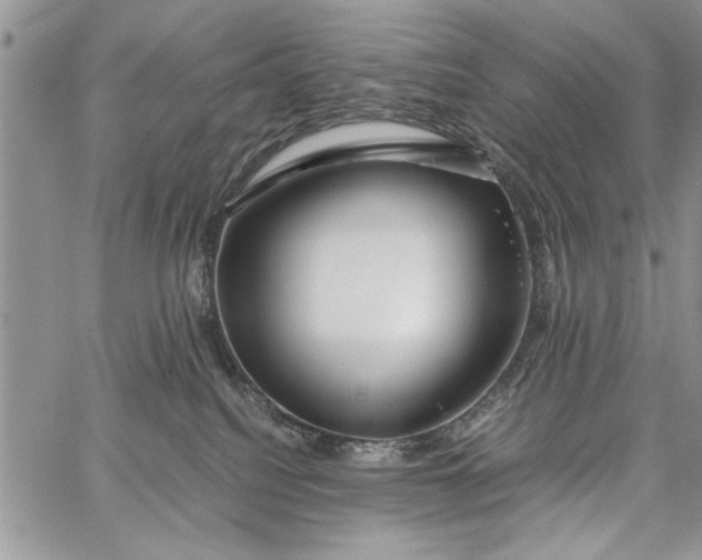 X0000062650088200601040929