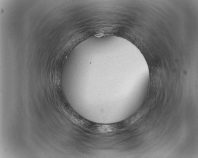 X0000062650091200601040929