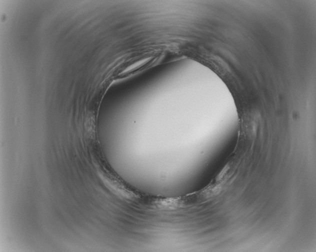 X0000062650092200601040929