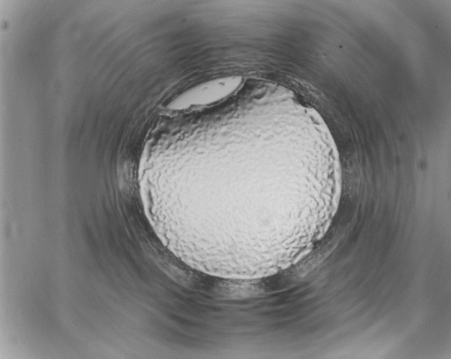 X0000062650093200601040929