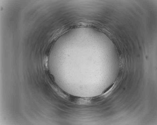 X0000062650094200601040929