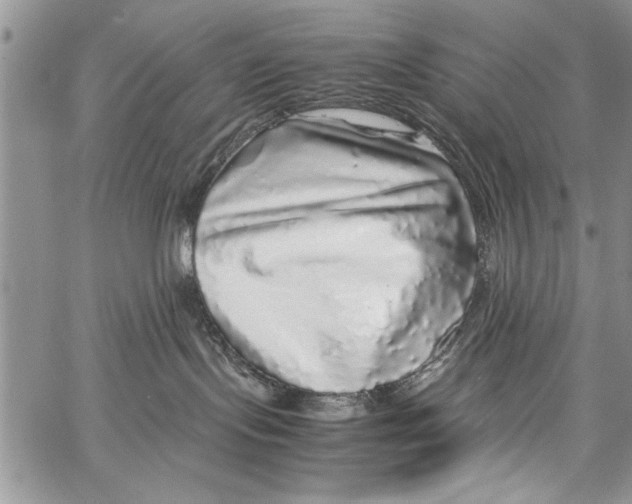 X0000062650095200601040929