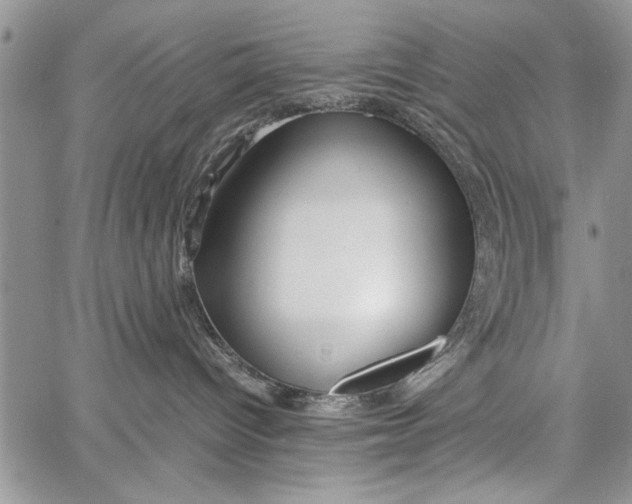 X0000062650096200601040929