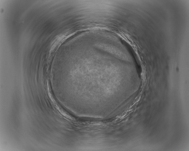 X0000062650097200601040928