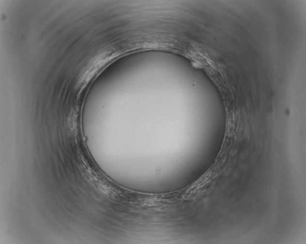 X0000062650098200601040928