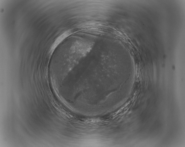 X0000062650099200601040928