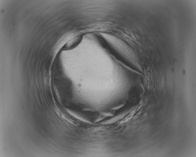 X0000062650100200601040928