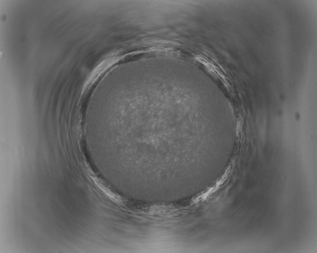 X0000062650101200601040928