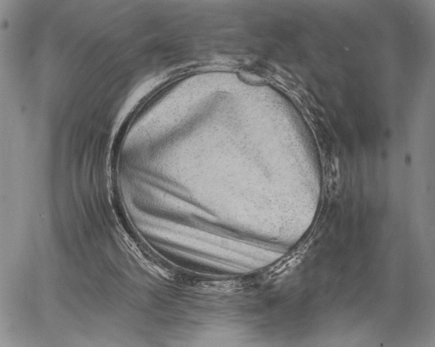 X0000062650102200601040928