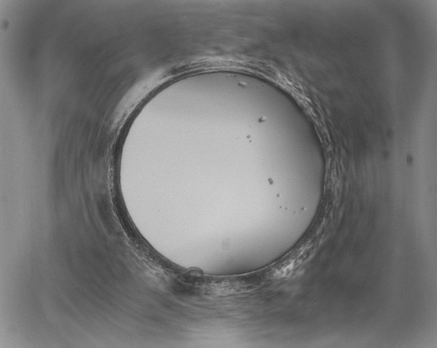 X0000062650103200601040928