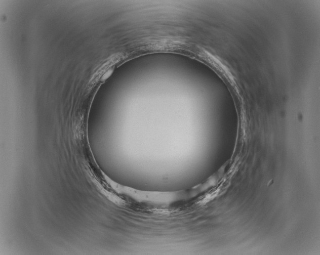 X0000062650105200601040928