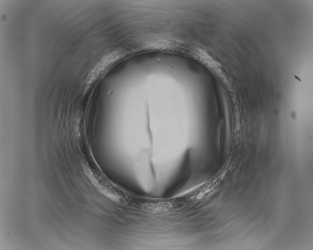 X0000062650106200601040928