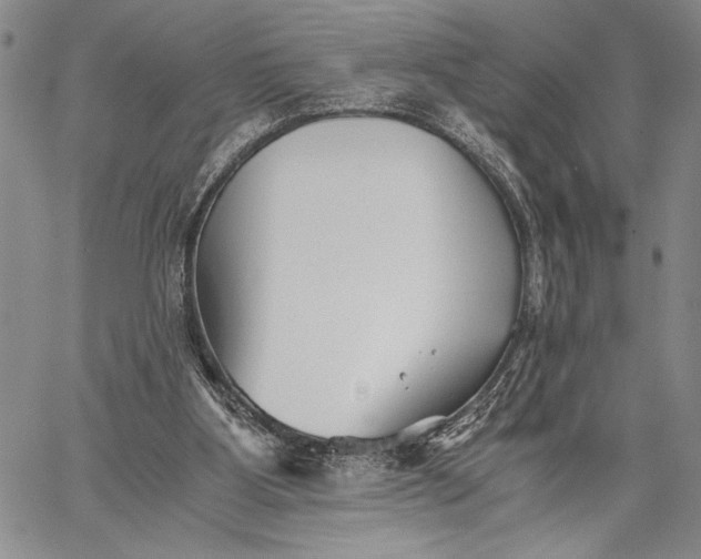 X0000062650107200601040928