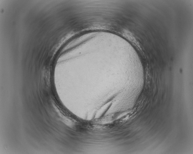 X0000062650108200601040928