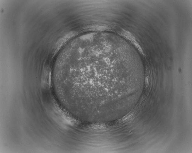 X0000062650110200601040928